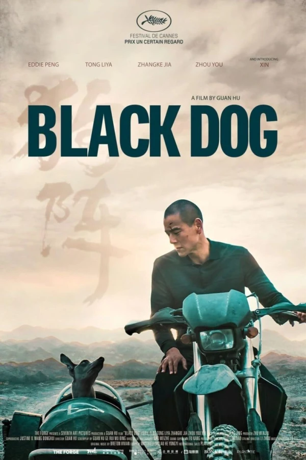 Black Dog Plakat