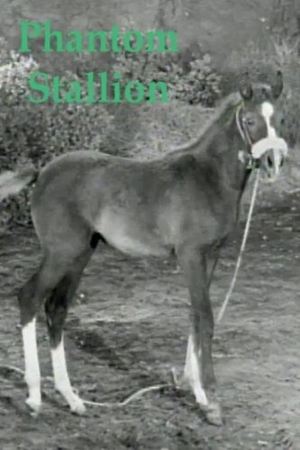 Phantom Stallion Plakat