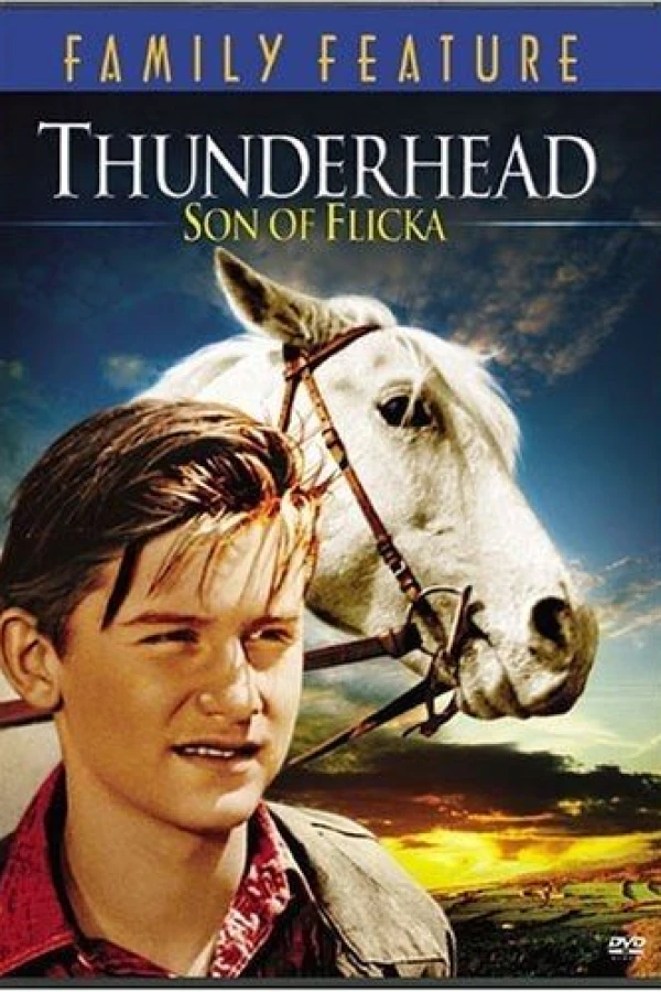 Thunderhead - Son of Flicka Plakat