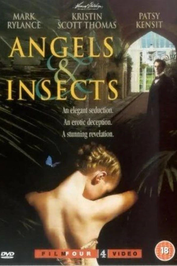 Angels and Insects Plakat