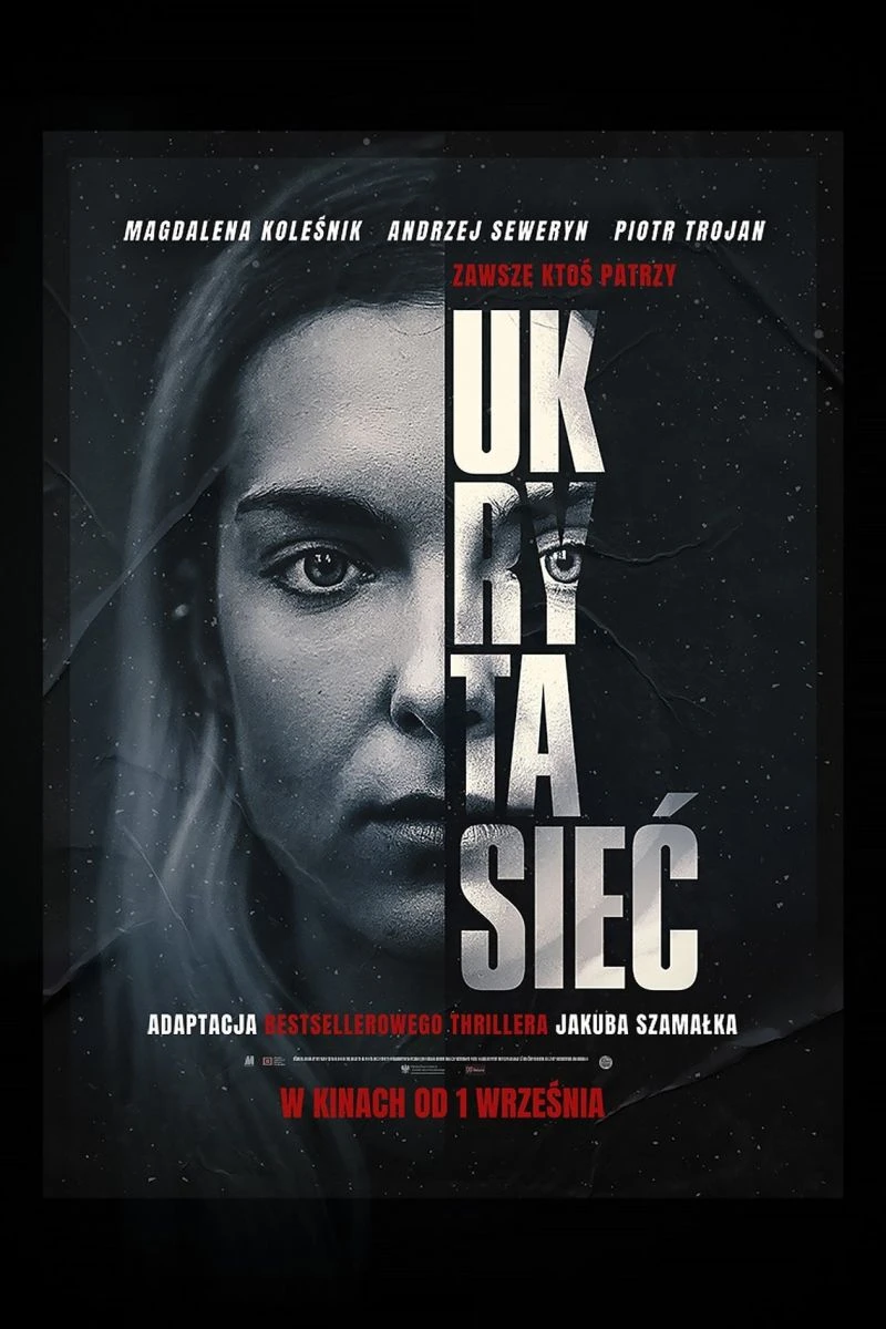 Ukryta siec Plakat