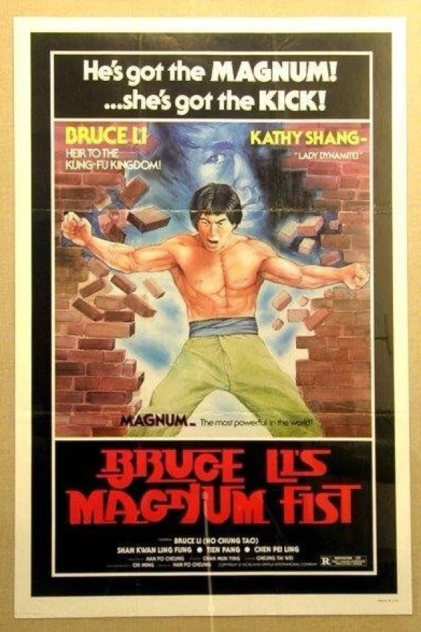 Bu ze shou duan Plakat