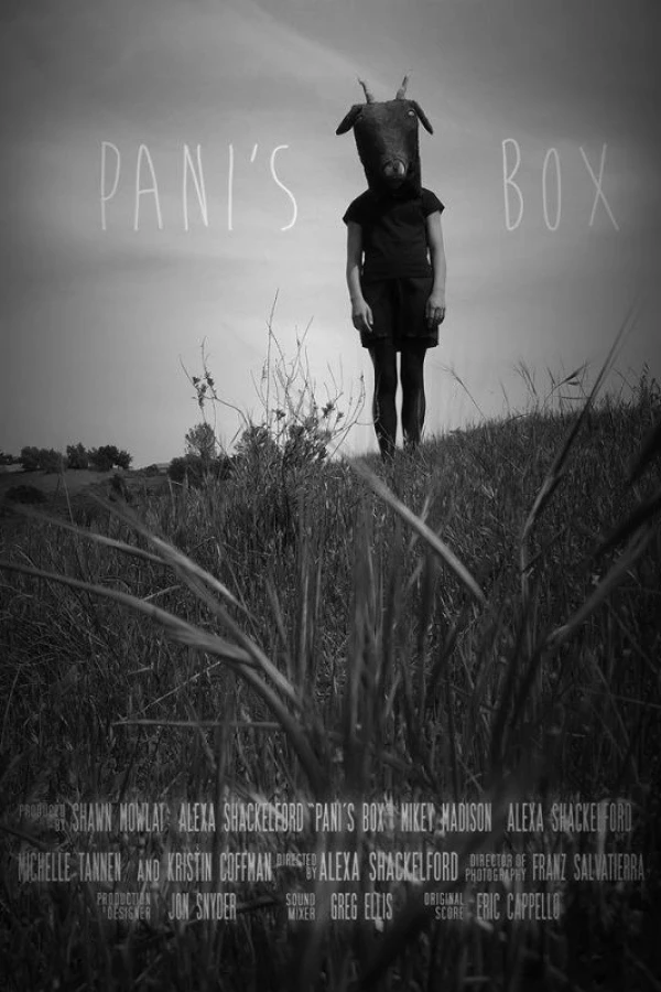 Pani's Box Plakat