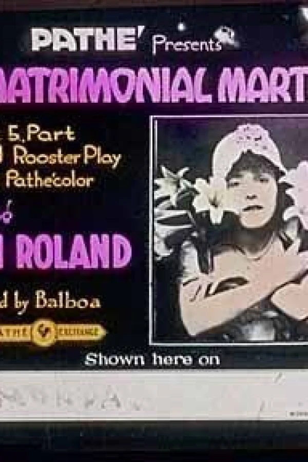 The Matrimonial Martyr Plakat