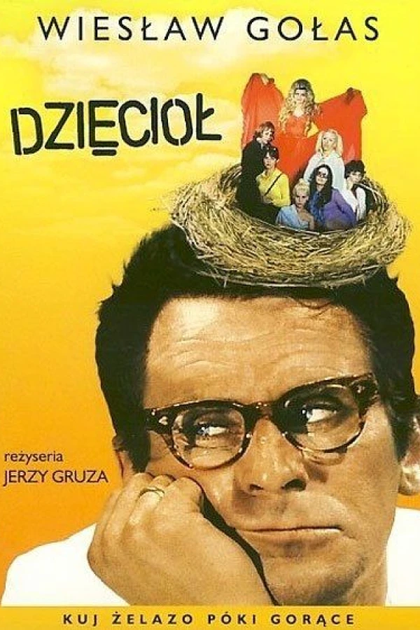 Dzieciol Plakat