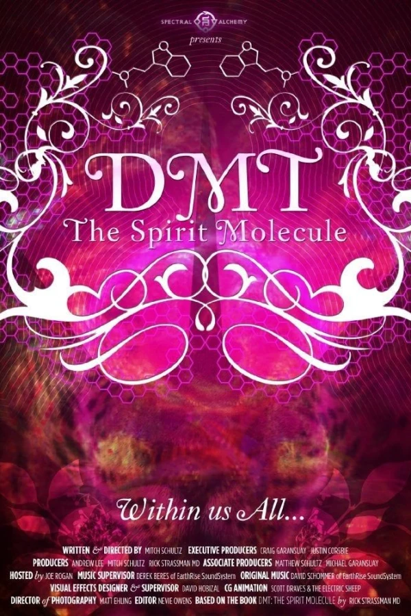 DMT: The Spirit Molecule Plakat